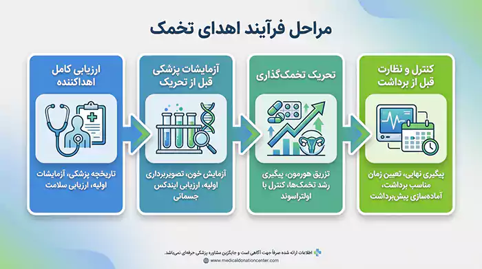 اینفوگرافیک مراحل گرفتن تخمک اهدایی